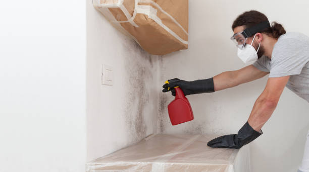 Professional Bathroom Mold Removal technician working in Farmingville, NY